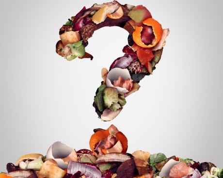 How to recycle food -- without the odor How can you compost without attracting bugs?